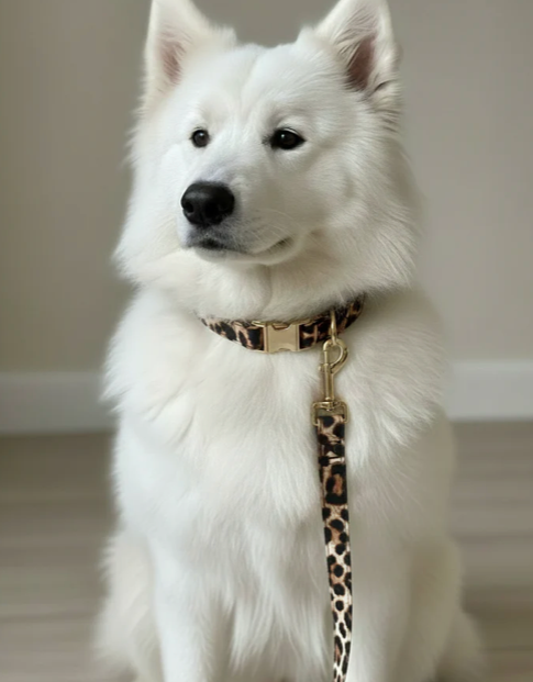 Collier tissu Capucine - réglable M/L et renforcé