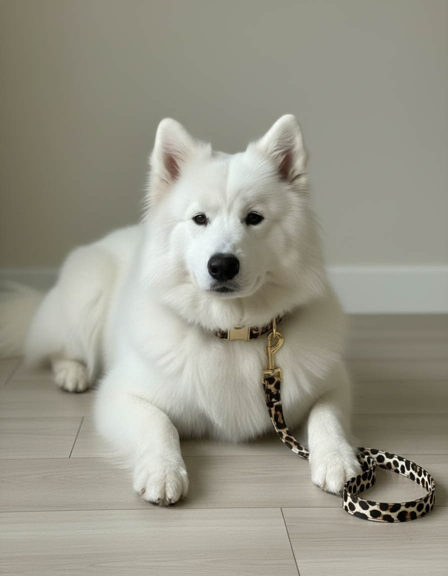 Laisse renforcée tissu Capucine