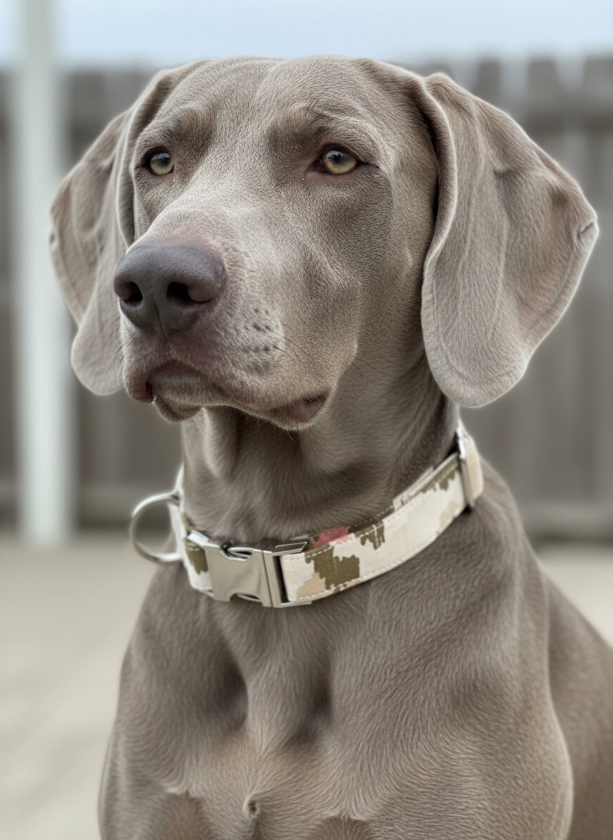 Collier tissu Apolline - réglable S/M et renforcé