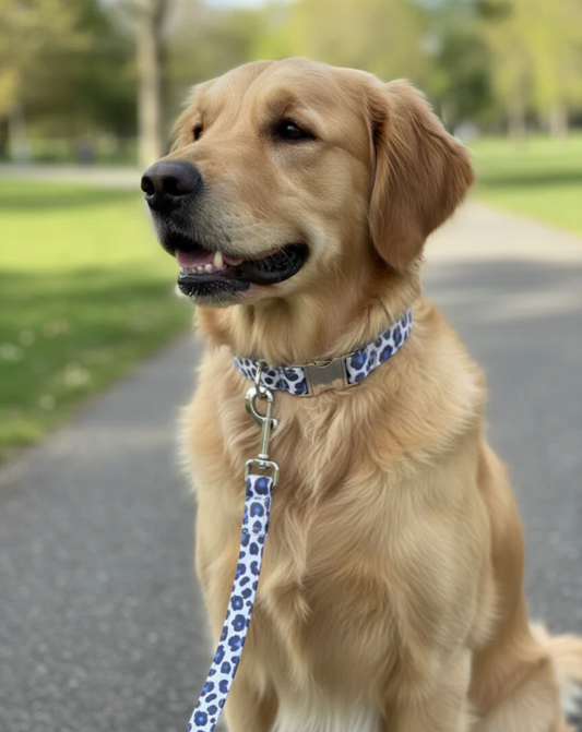 Collier tissu Amandine - réglable S/M et renforcé