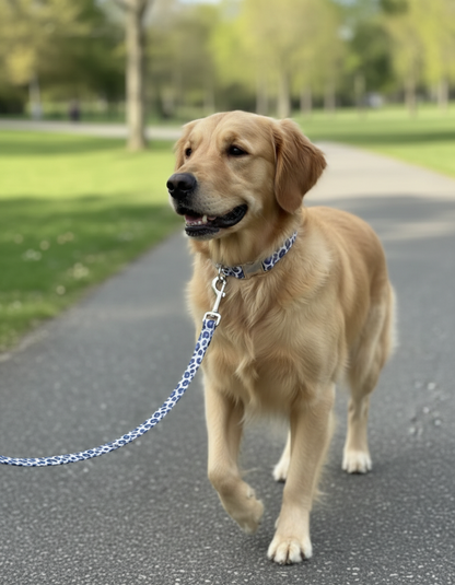 Laisse renforcée tissu Amandine